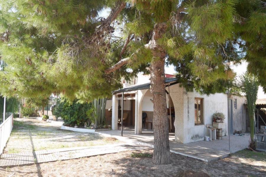 Valverde,Alicante,España,4 Bedrooms Bedrooms,1 BañoBathrooms,Chalets,34197