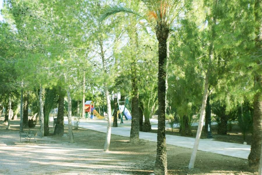 San Isidro, Alicante, España, 3 Bedrooms Bedrooms, ,2 BathroomsBathrooms,Adosada,Venta,34199