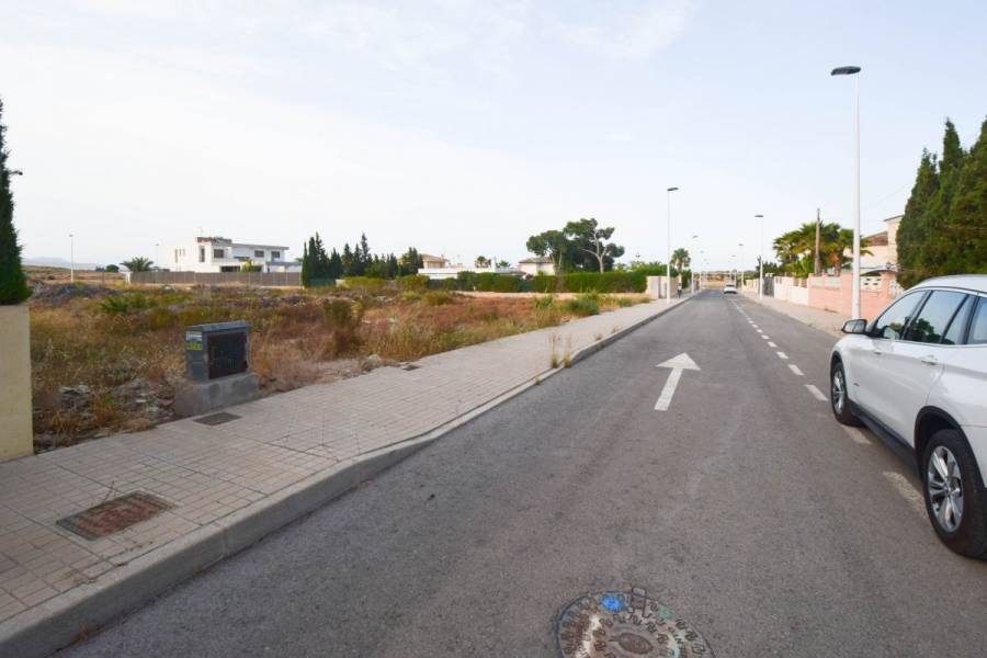 Elche,Alicante,España,Parcela,34204