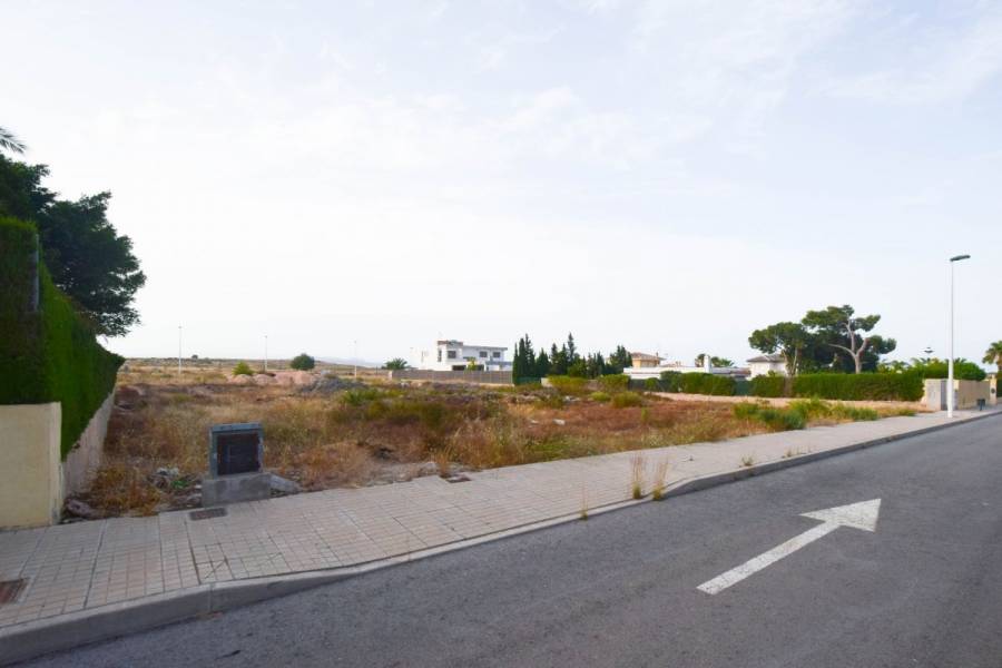Elche,Alicante,España,Parcela,34204