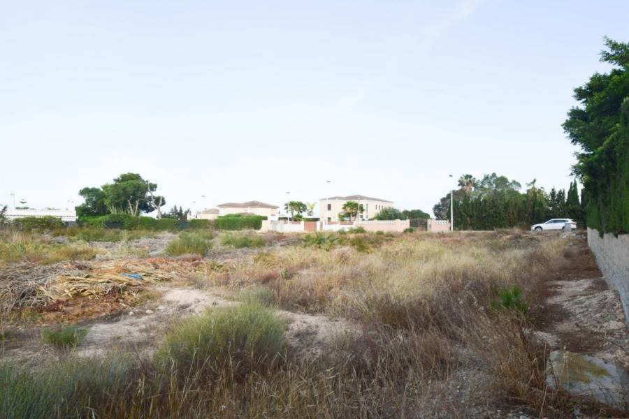 Elche,Alicante,España,Parcela,34204