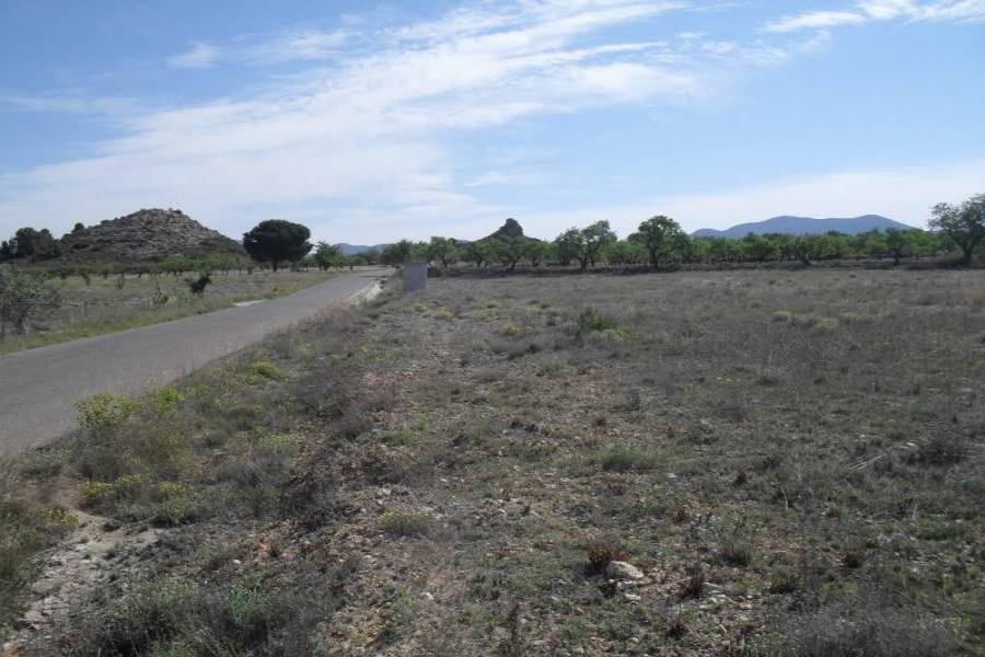 Villena,Alicante,España,Parcela,34236