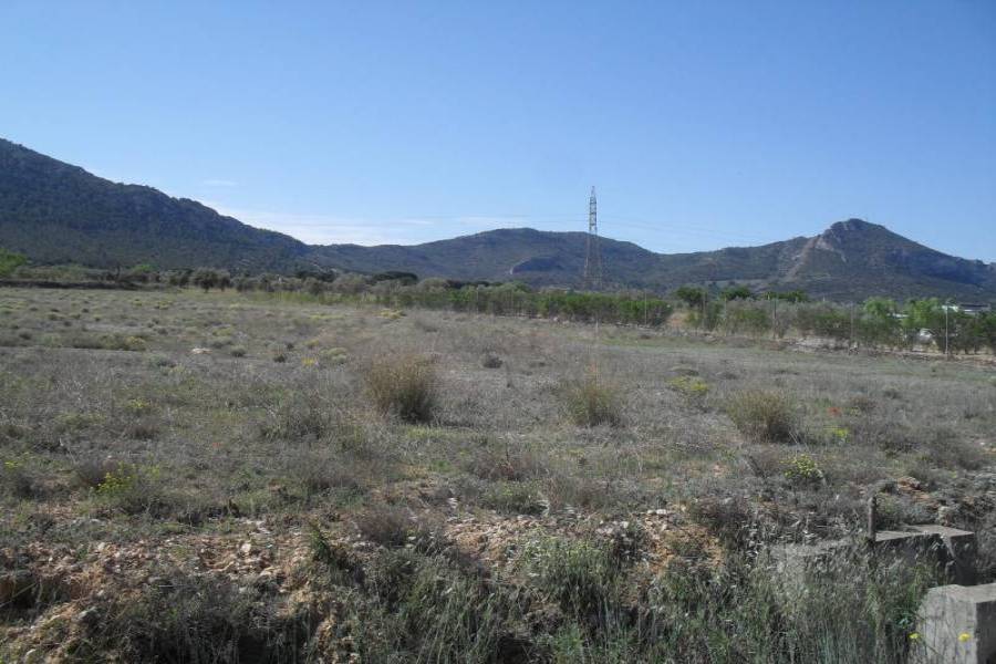 Villena,Alicante,España,Parcela,34236