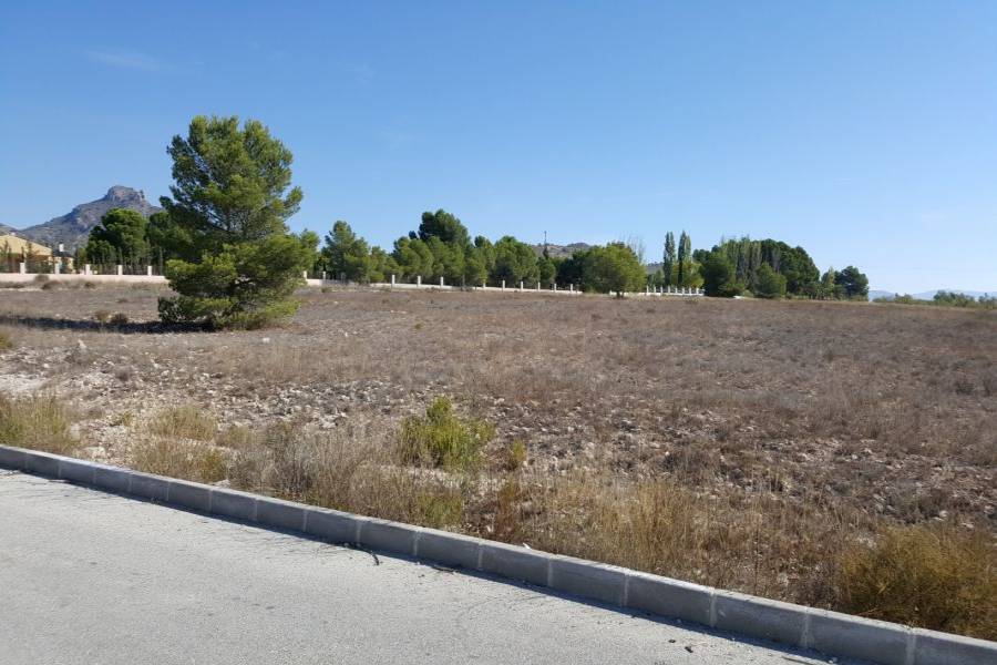 Salinas,Alicante,España,Parcela,34247
