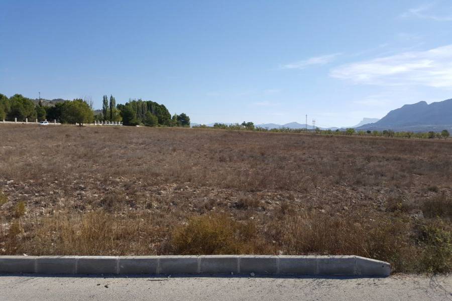 Salinas,Alicante,España,Parcela,34247