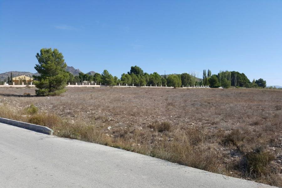 Salinas,Alicante,España,Parcela,34247