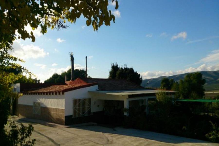 Cañada,Alicante,España,4 Bedrooms Bedrooms,1 BañoBathrooms,Casas,34252