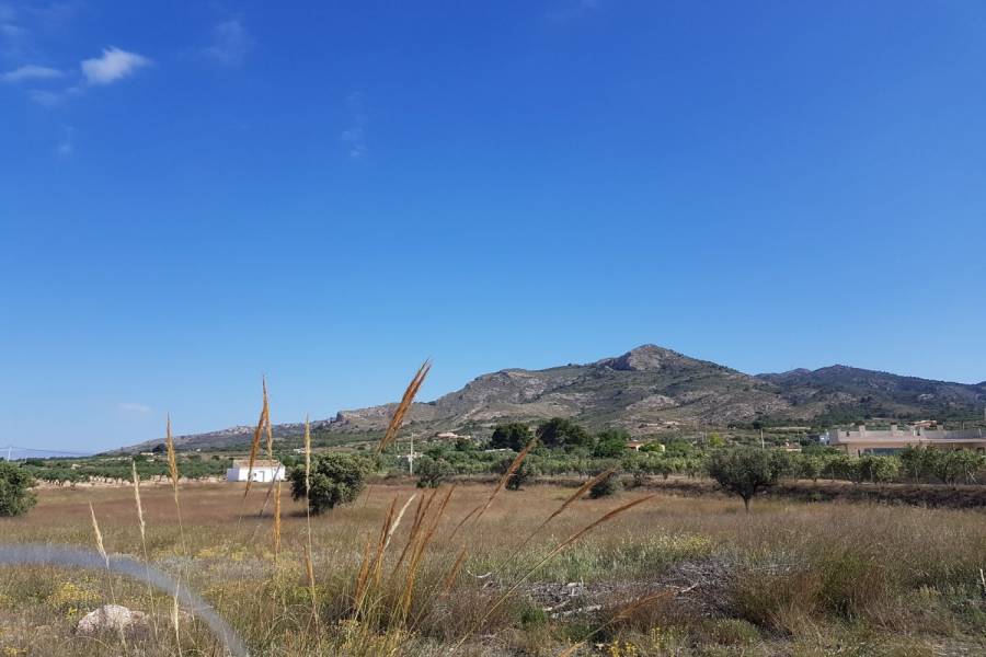 Sax,Alicante,España,Parcela,34284