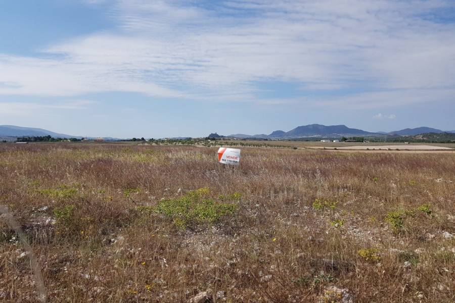 Sax,Alicante,España,Parcela,34284