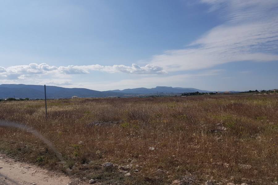 Sax,Alicante,España,Parcela,34284