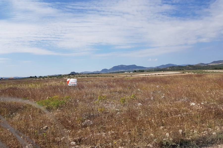 Sax,Alicante,España,Parcela,34284