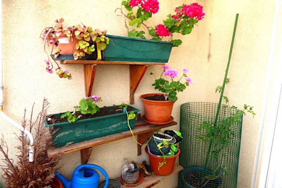 Torrevieja,Alicante,España,3 Bedrooms Bedrooms,2 BathroomsBathrooms,Atico,34319