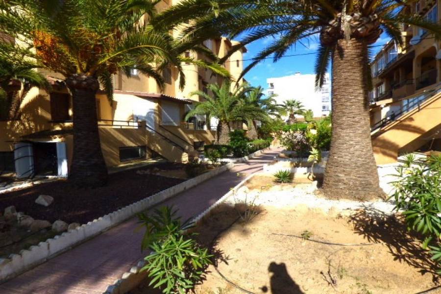Torrevieja,Alicante,España,1 Dormitorio Bedrooms,1 BañoBathrooms,Apartamentos,34323