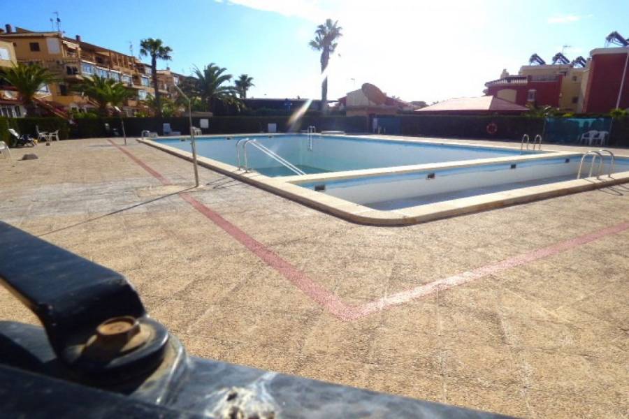 Torrevieja,Alicante,España,1 Dormitorio Bedrooms,1 BañoBathrooms,Apartamentos,34323