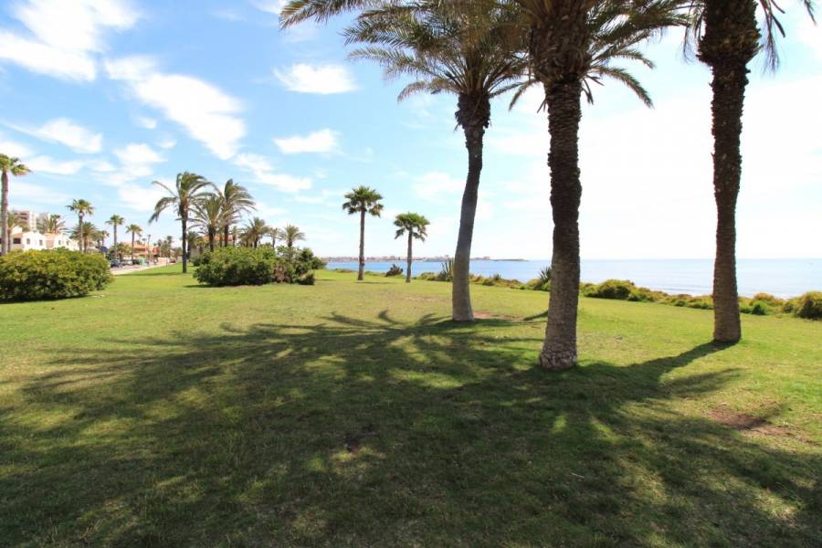 Torrevieja,Alicante,España,2 Bedrooms Bedrooms,1 BañoBathrooms,Dúplex,34336