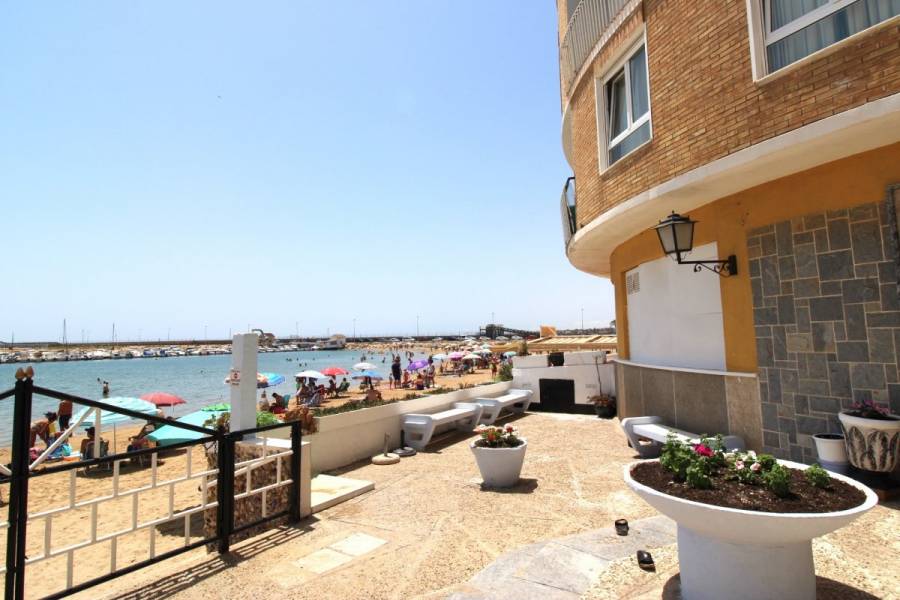 Torrevieja,Alicante,España,3 Bedrooms Bedrooms,2 BathroomsBathrooms,Apartamentos,34344