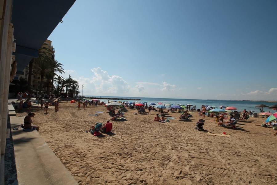 Torrevieja,Alicante,España,3 Bedrooms Bedrooms,2 BathroomsBathrooms,Planta baja,34383