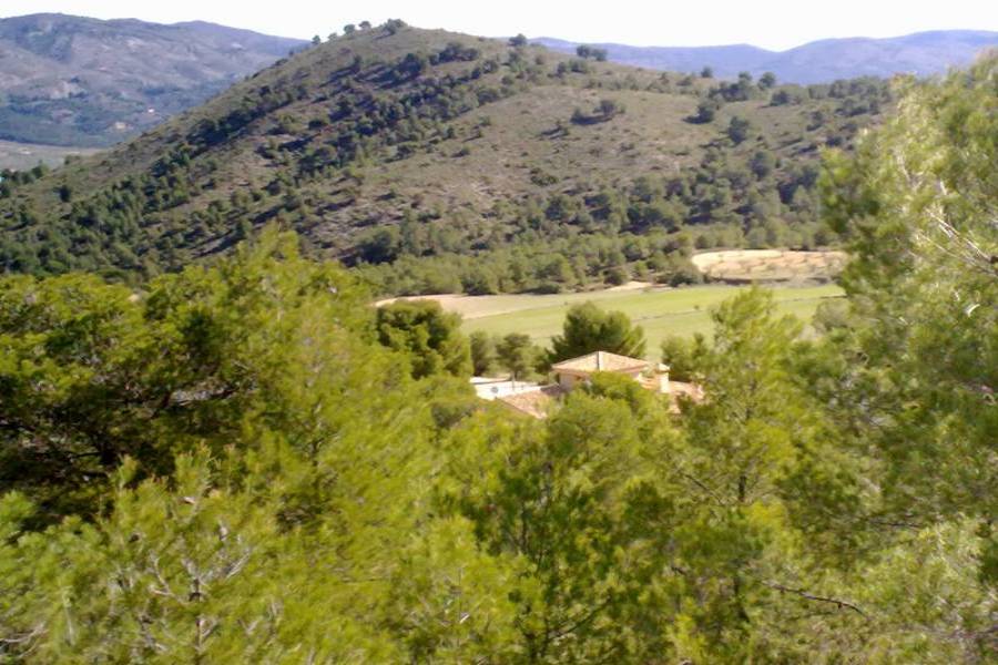 Castalla,Alicante,España,4 Bedrooms Bedrooms,4 BathroomsBathrooms,Lotes-Terrenos,34384