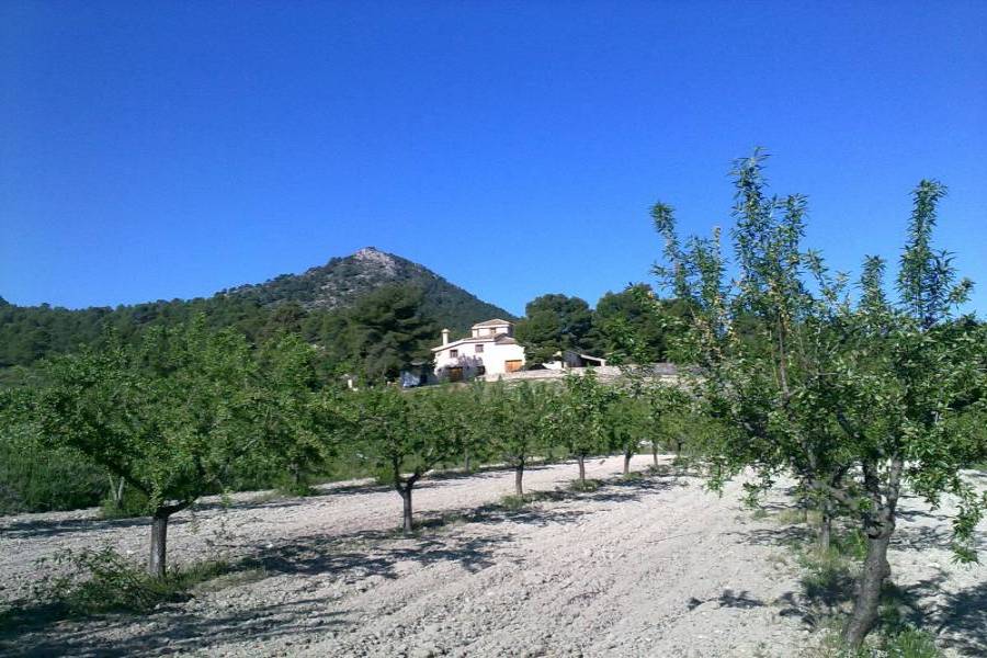 Castalla,Alicante,España,4 Bedrooms Bedrooms,4 BathroomsBathrooms,Lotes-Terrenos,34384