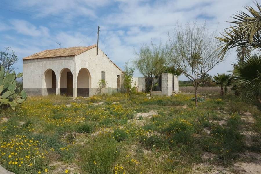 Elche,Alicante,España,Parcela,34390