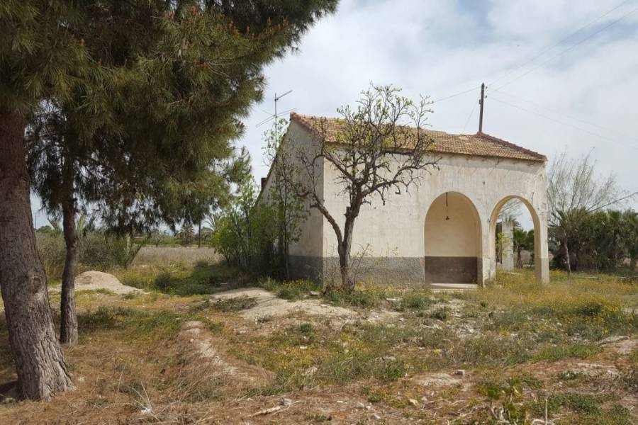 Elche,Alicante,España,Parcela,34390