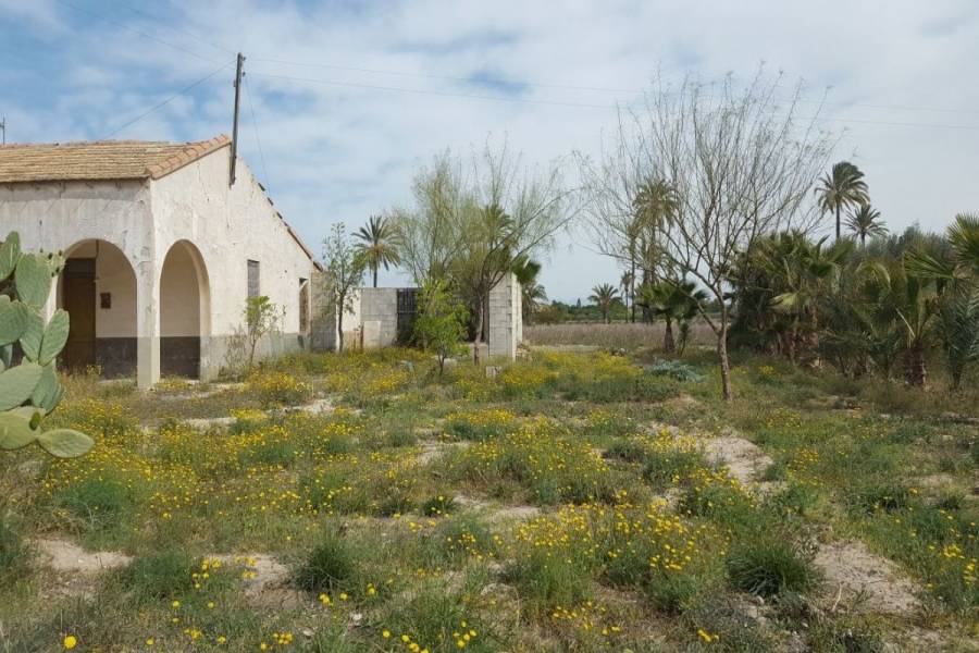 Elche,Alicante,España,Parcela,34390