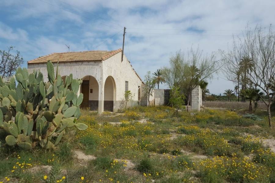Elche,Alicante,España,Parcela,34390