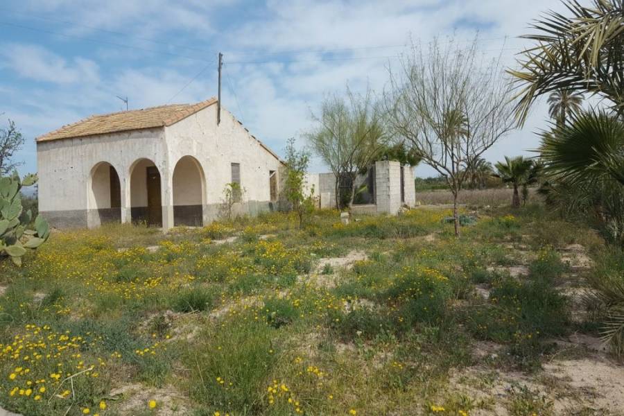 Elche,Alicante,España,Parcela,34390