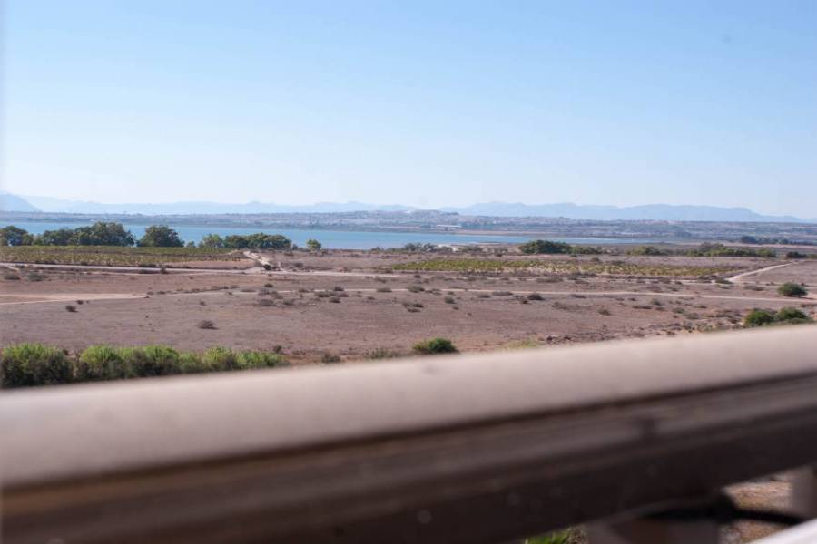 Torrevieja,Alicante,España,2 Bedrooms Bedrooms,1 BañoBathrooms,Atico,34397
