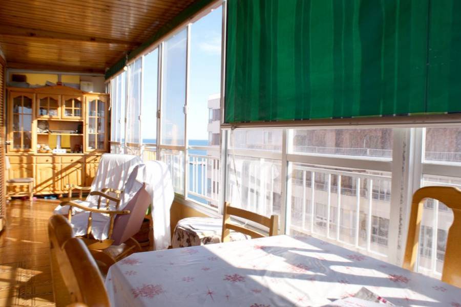 Torrevieja,Alicante,España,3 Bedrooms Bedrooms,2 BathroomsBathrooms,Apartamentos,34411