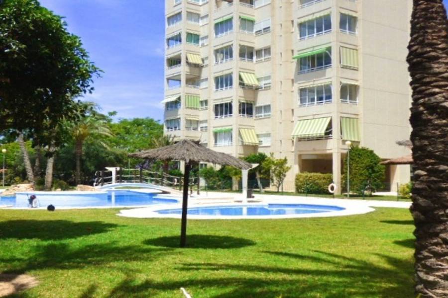 Alicante,Alicante,España,2 Bedrooms Bedrooms,2 BathroomsBathrooms,Apartamentos,34503