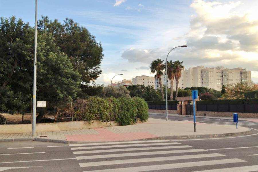 Alicante,Alicante,España,Parcela,34505