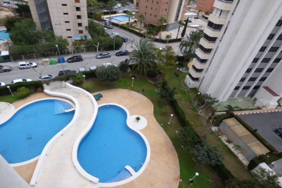 Benidorm,Alicante,España,1 Dormitorio Bedrooms,1 BañoBathrooms,Apartamentos,34511