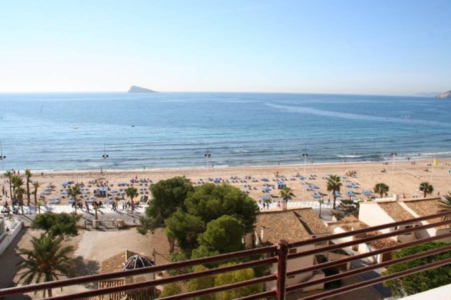 Benidorm,Alicante,España,1 Dormitorio Bedrooms,1 BañoBathrooms,Apartamentos,34514