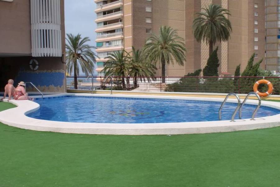 Benidorm,Alicante,España,1 Dormitorio Bedrooms,1 BañoBathrooms,Apartamentos,34514