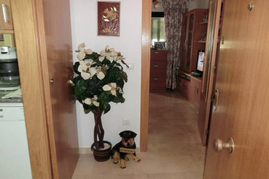 Villajoyosa,Alicante,España,1 Dormitorio Bedrooms,2 BathroomsBathrooms,Apartamentos,34515
