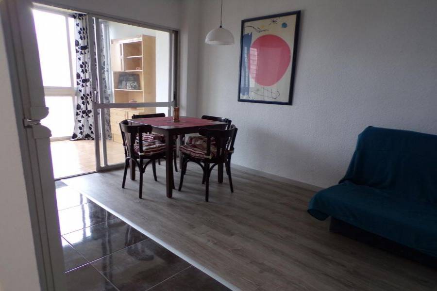 Benidorm,Alicante,España,1 Dormitorio Bedrooms,1 BañoBathrooms,Apartamentos,34516