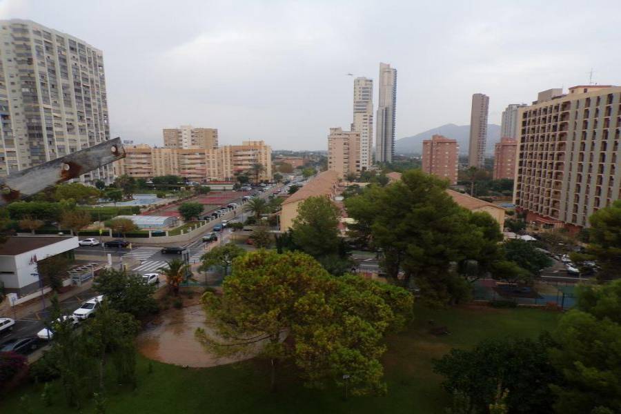 Benidorm,Alicante,España,1 Dormitorio Bedrooms,1 BañoBathrooms,Apartamentos,34516