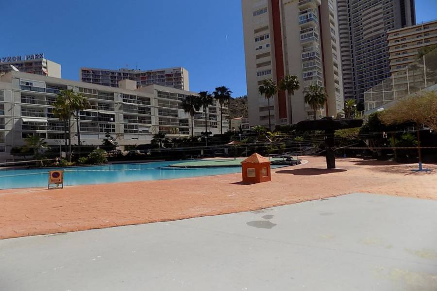 Benidorm,Alicante,España,1 Dormitorio Bedrooms,1 BañoBathrooms,Apartamentos,34523