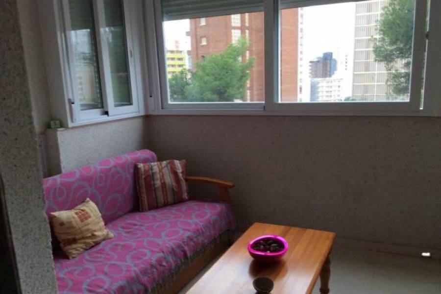 Benidorm,Alicante,España,1 Dormitorio Bedrooms,1 BañoBathrooms,Apartamentos,34523
