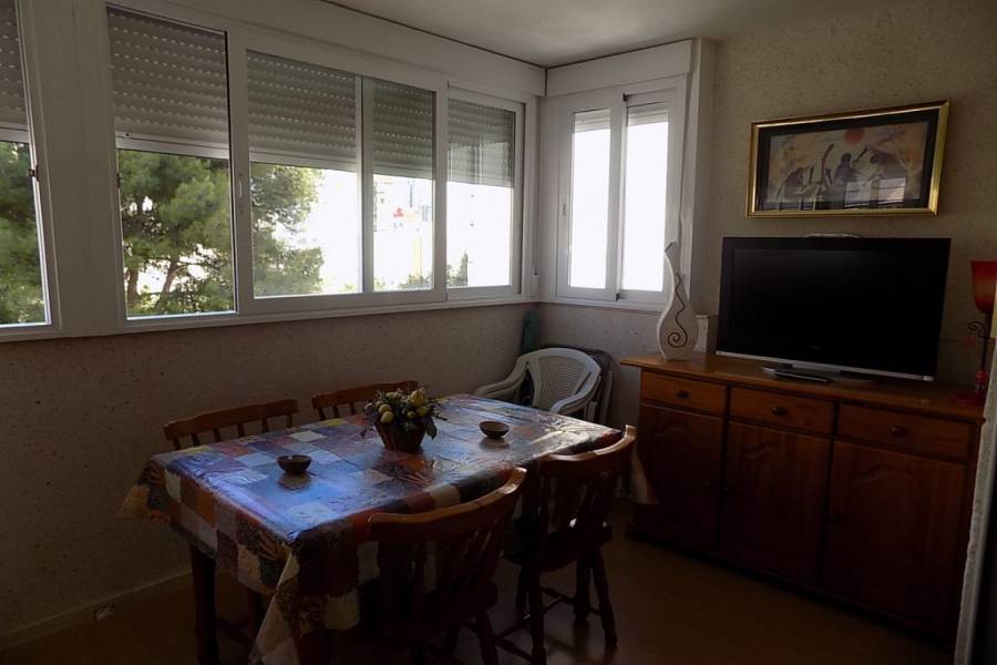 Benidorm,Alicante,España,1 Dormitorio Bedrooms,1 BañoBathrooms,Apartamentos,34523