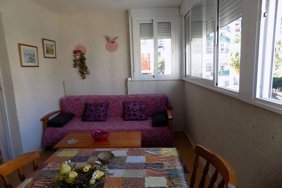 Benidorm,Alicante,España,1 Dormitorio Bedrooms,1 BañoBathrooms,Apartamentos,34523