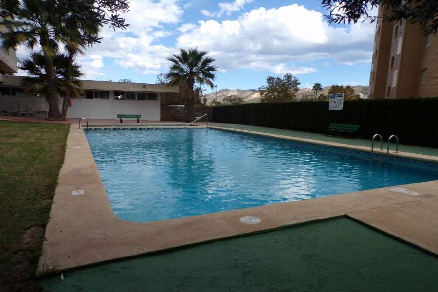 Benidorm,Alicante,España,1 Dormitorio Bedrooms,1 BañoBathrooms,Apartamentos,34530