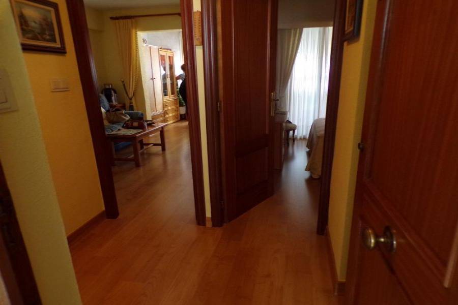 Benidorm,Alicante,España,1 Dormitorio Bedrooms,1 BañoBathrooms,Apartamentos,34530