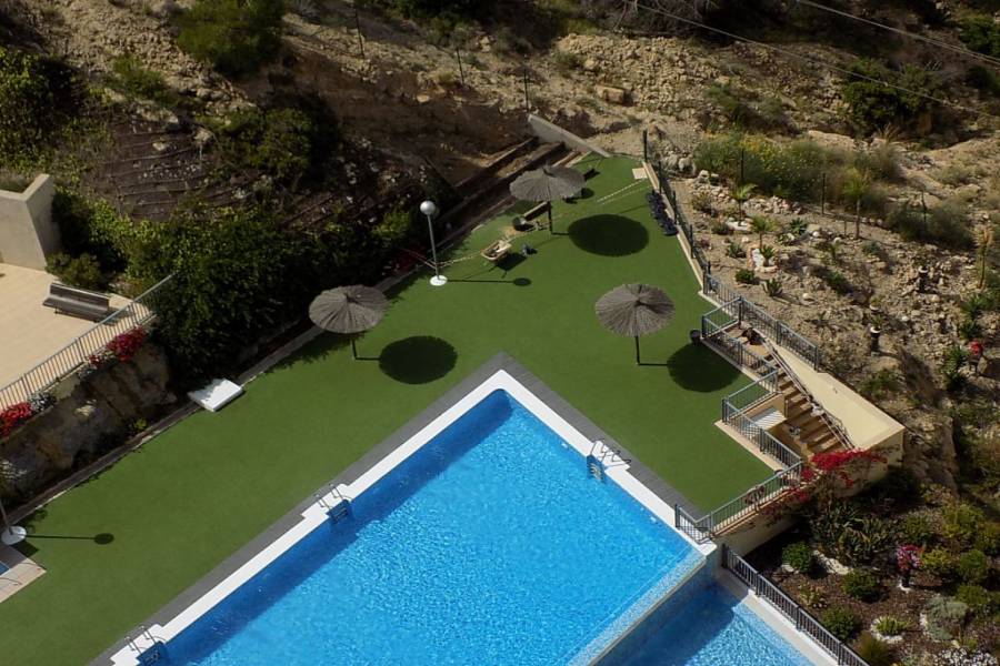 Benidorm,Alicante,España,1 Dormitorio Bedrooms,1 BañoBathrooms,Apartamentos,34537
