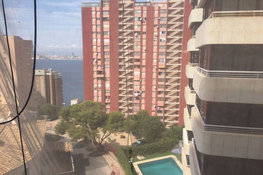 Benidorm,Alicante,España,1 Dormitorio Bedrooms,1 BañoBathrooms,Apartamentos,34541