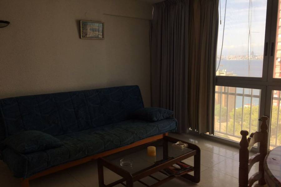 Benidorm,Alicante,España,1 Dormitorio Bedrooms,1 BañoBathrooms,Apartamentos,34541