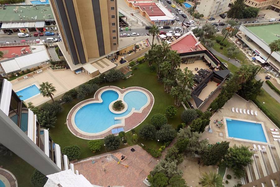 Benidorm,Alicante,España,1 Dormitorio Bedrooms,1 BañoBathrooms,Apartamentos,34545