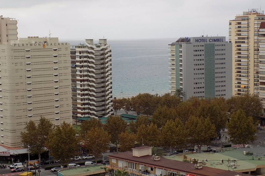 Benidorm,Alicante,España,1 Dormitorio Bedrooms,1 BañoBathrooms,Apartamentos,34545