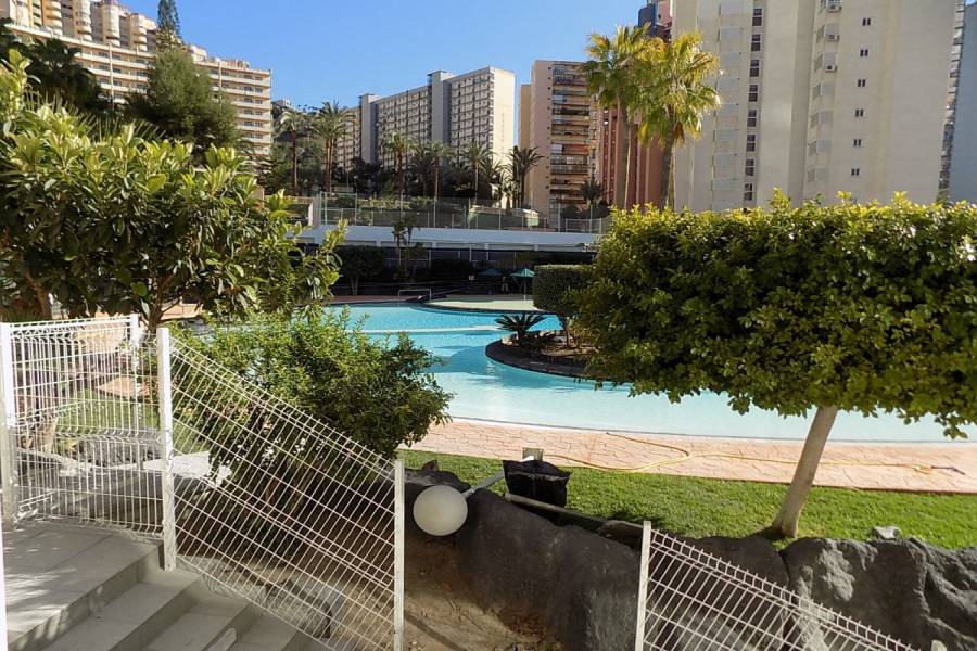 Benidorm,Alicante,España,2 Bedrooms Bedrooms,1 BañoBathrooms,Apartamentos,34551